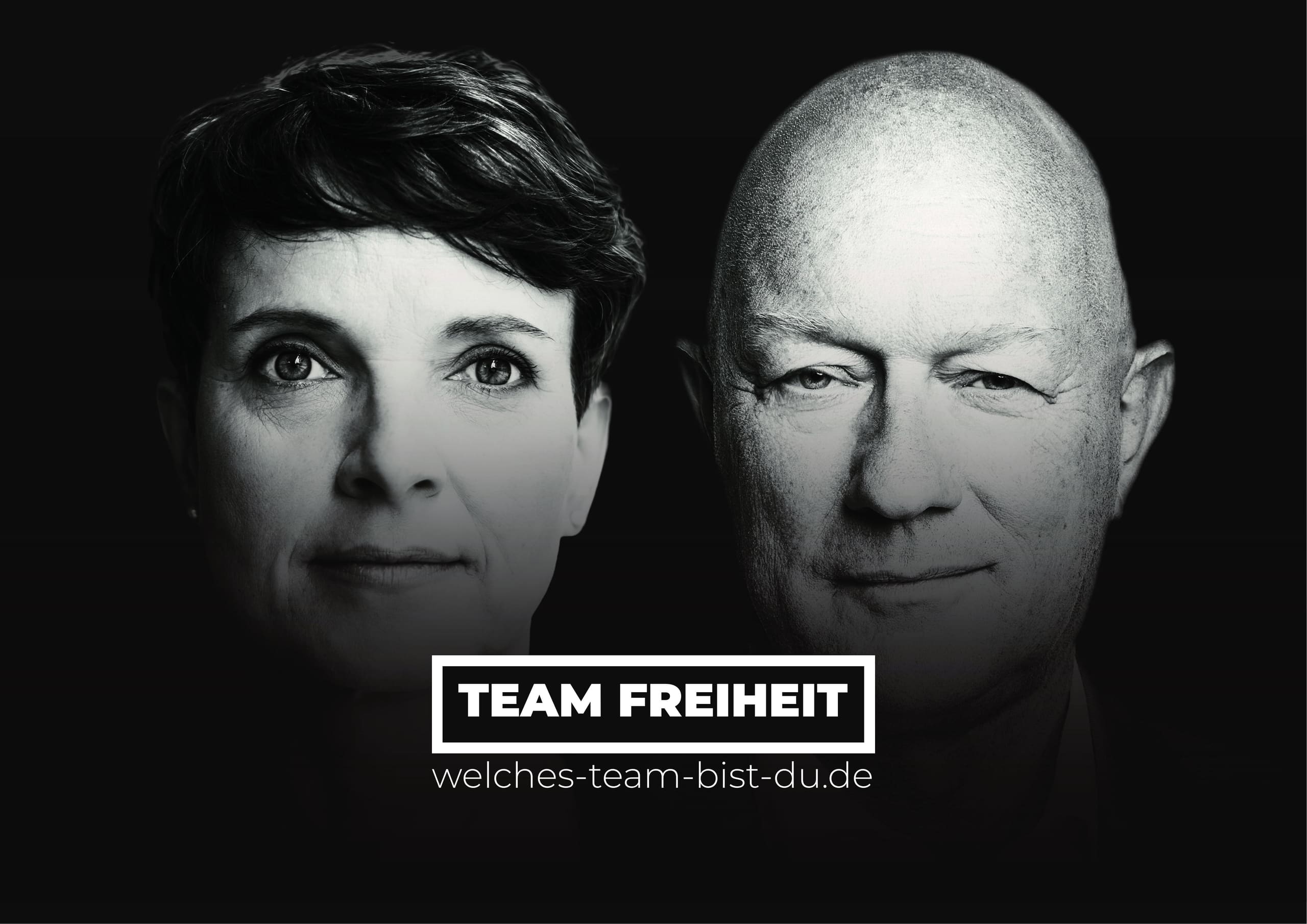 Team-Freiheit-Plakat: Frauke Petry und Thomas Kemmerich, welches-team-bist-du.de